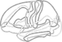 Brainsights%2BLogo_edited.png