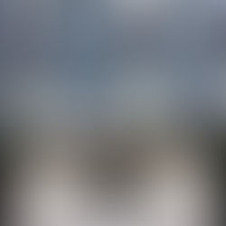 Rain or Shine, The Cordial Hound Delivers: A 3rd of July Celebration to Remember!