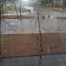 Золотая осень
