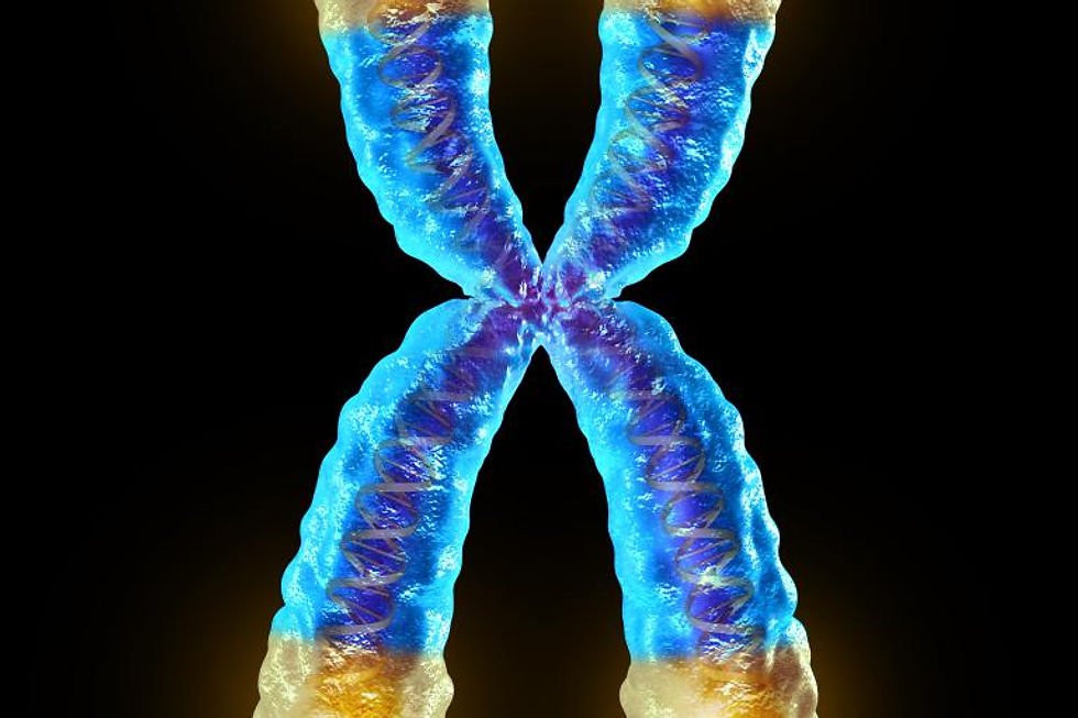 Longevity and telomere science imagery relevant to NAD+ and sirtuin research