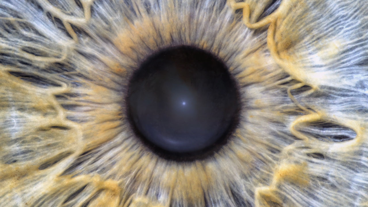 Healing VideoArt: 'EYE Scream'