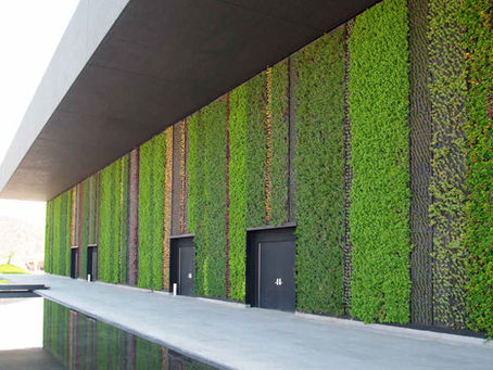 Más allá de la decoración, la importancia del muro verde.
