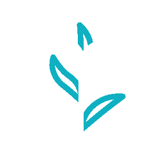 Bromelia 2.gif
