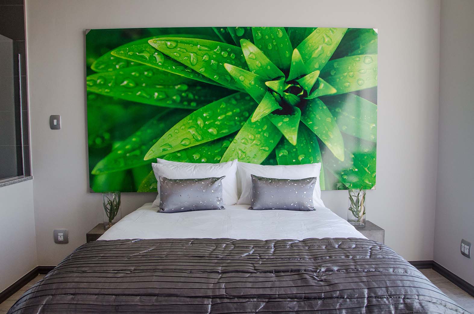 Chill Pepper Hotel Contact