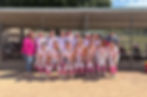 Delta Valkyries 16B Fastpitch Spring Tryouts