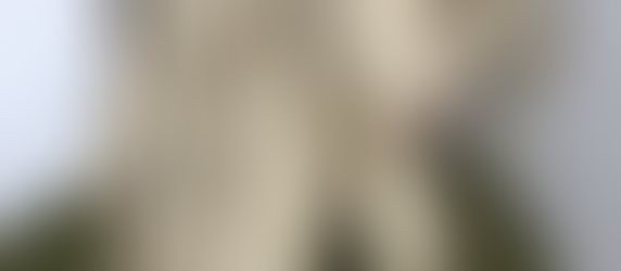 Stories Behind the Chair