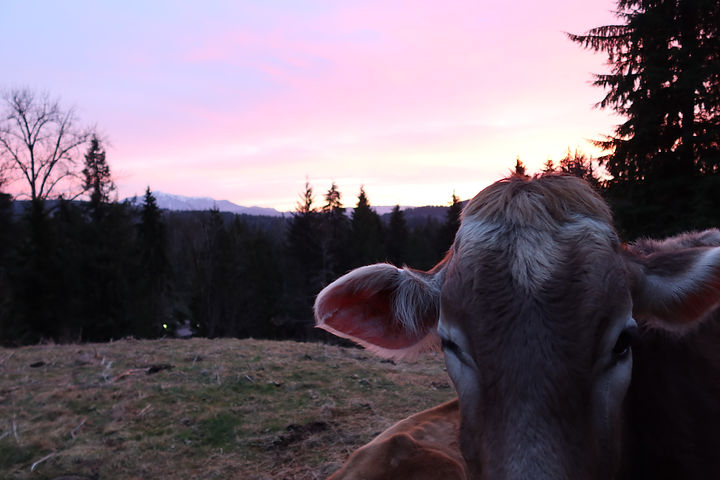 FA8E52D8-AF87-4ACE-AE44-ACCDBED165FF.jpe