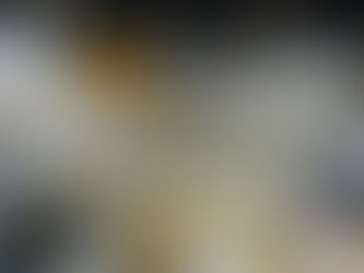 日本人的救世主？（第15天）