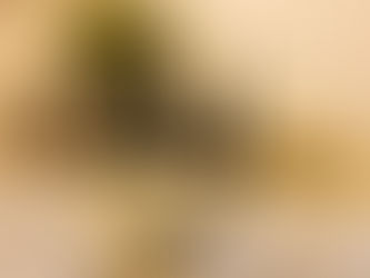 不服输的东北人（第10天）