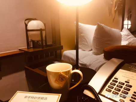 无可忍耐的无知 | 2019.11.24 第78天 【印象纽芬兰（一）】