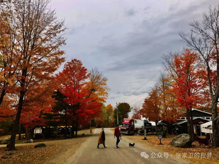 自由党的“不仗义”