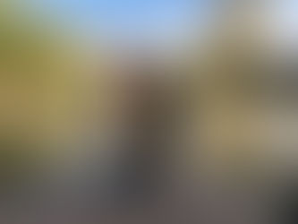 80后农场主的范儿 | 2019.10.23. 第46天 【邂逅弗洛伊德（七）】