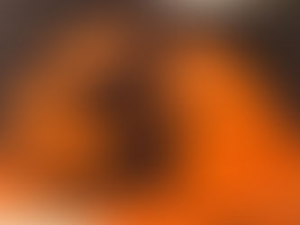 大神与万圣节 | 2019.10.31. 第54天 【女巫小镇的魅力（一）】