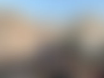 我是一只夜行的猫（第44天）