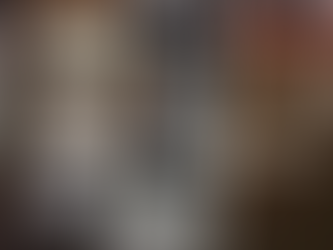 10/5/2017（第20日）我们是家具行业的"Uber" 