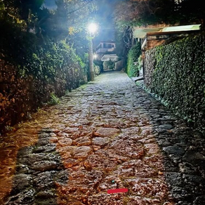 对呀，你怎么会无聊？（第62天）