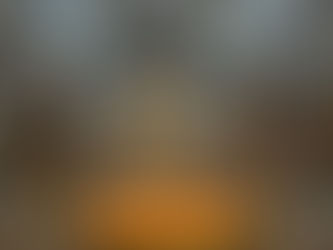 美国的大错（第17天）