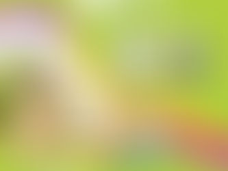 【給家人的六感禮物_鼻】