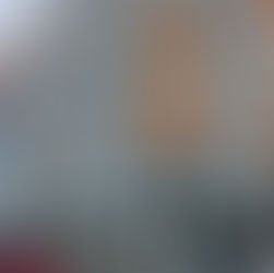 Flat 9 at Whittier in Roxbury, MA, has won a 2020 Charles L. Edson Tax Credit Excellence Award 