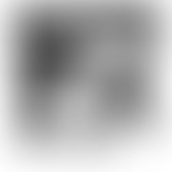 Es ist, als stünde mein Buch nackt mit ausgebreiteten Armen auf dem Marktplatz