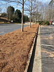 Pine Straw Installation