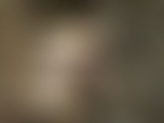 Species Spotlight: Tawaka Mushrooms