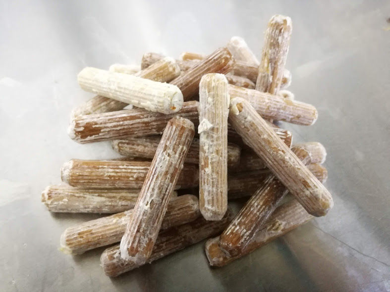 Thumbnail: Native Phoenix Oyster