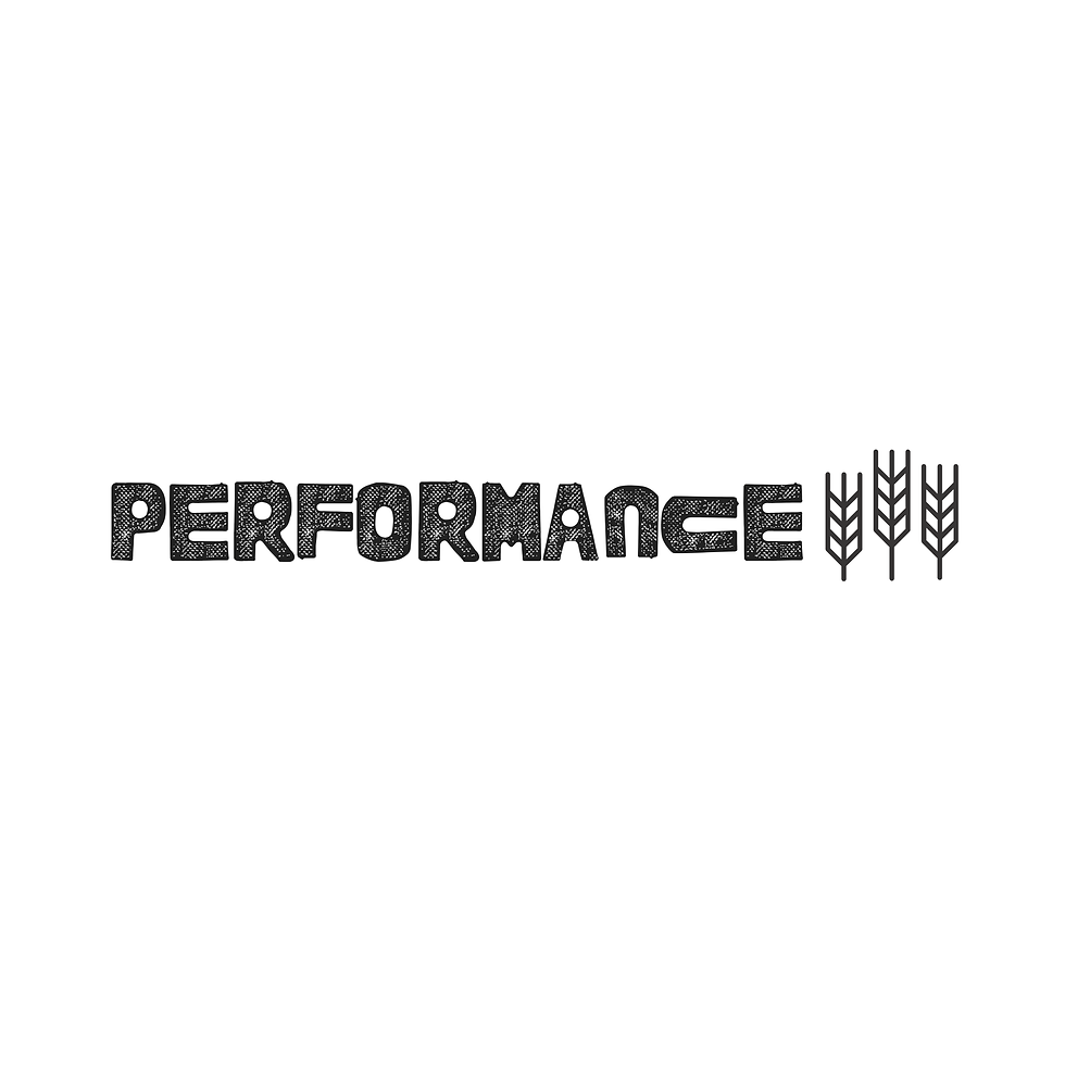 Performance U13 AA and U15 AA/AAA Tryout Prep