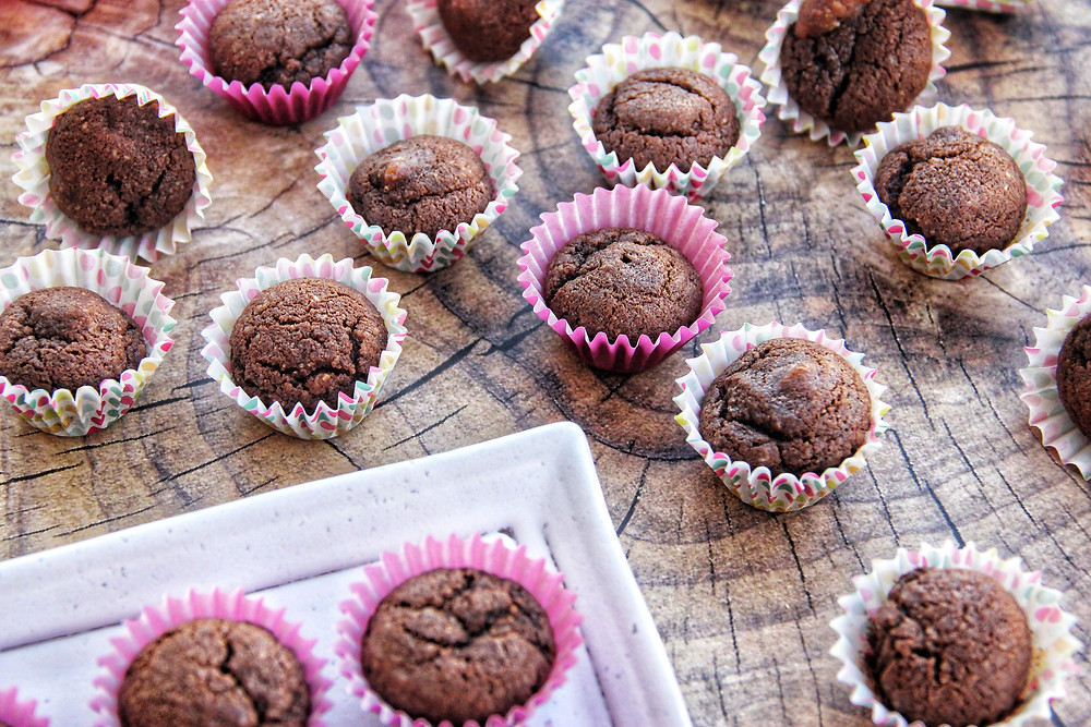 פקאן, שוקולד, ללא גלוטן, gluten free, celiac, paleo, פליאו, קמח, דרך טבע, קמח ורוד