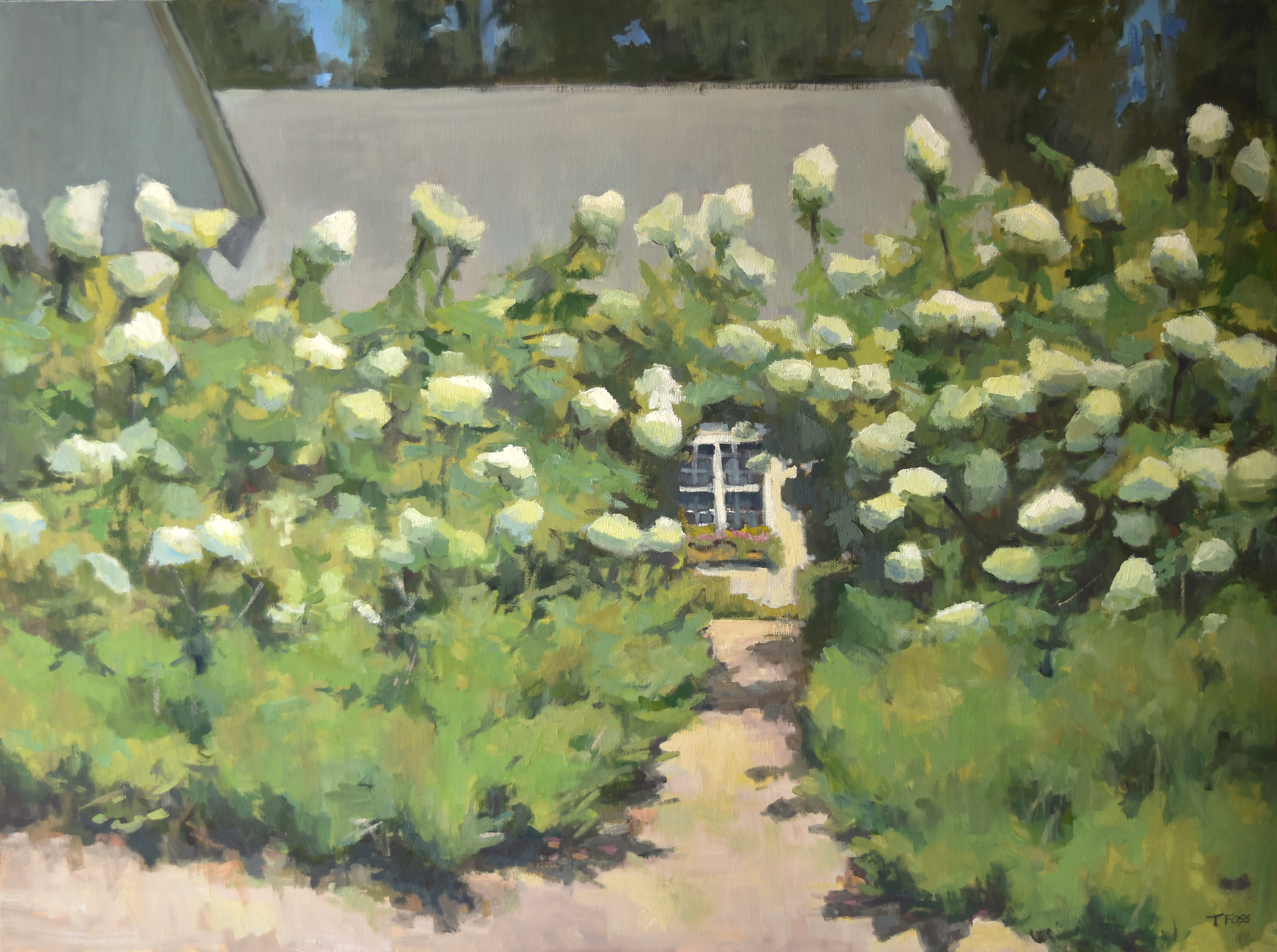 Private Collection-commission