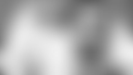 What Women Really Want