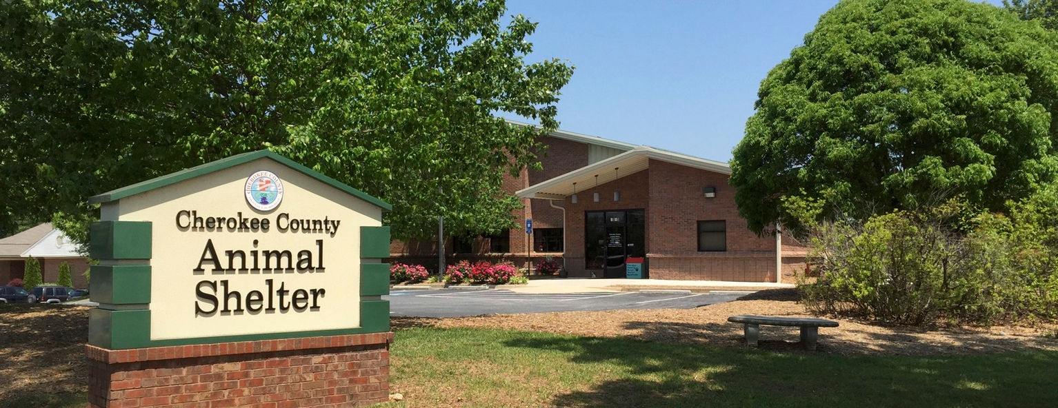 Adoptions building for the animal shelter.