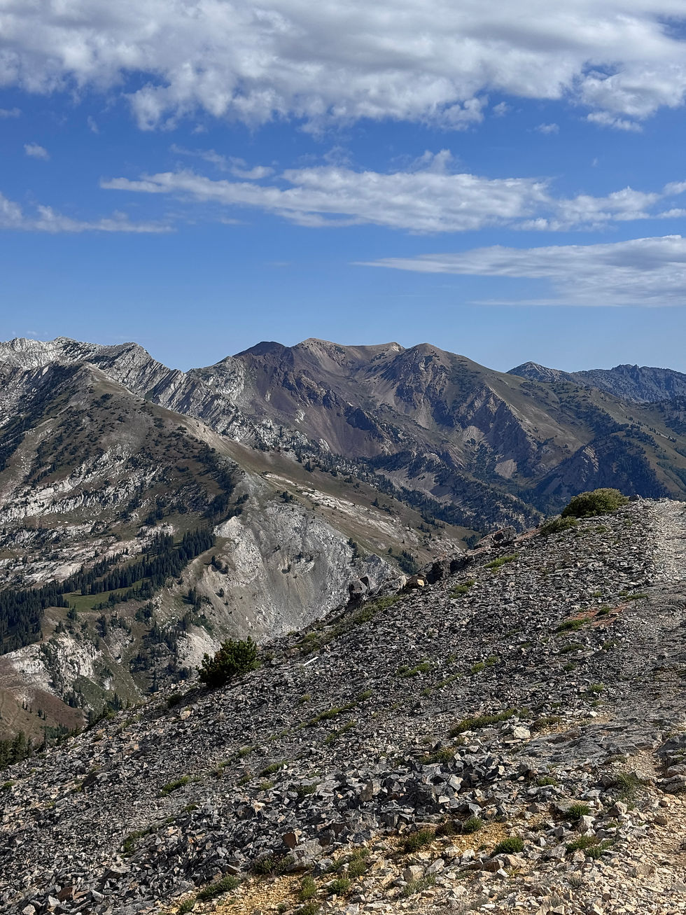 Red Baldy & American Fork Twin Peaks