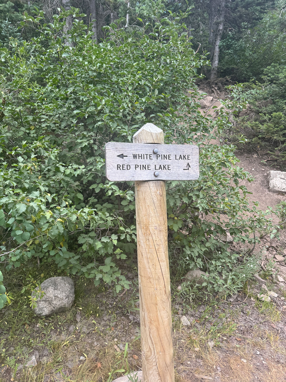 Red & White Pine Split- Go to Red Pine Lake