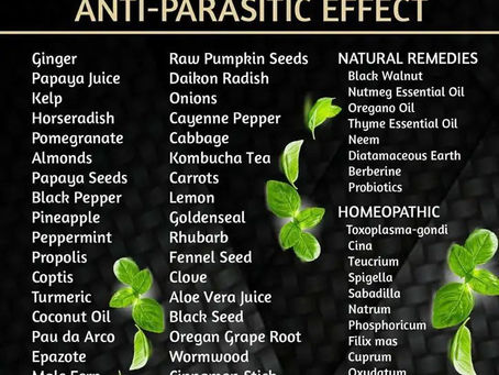 Foods with Anti-Parasitic Effect