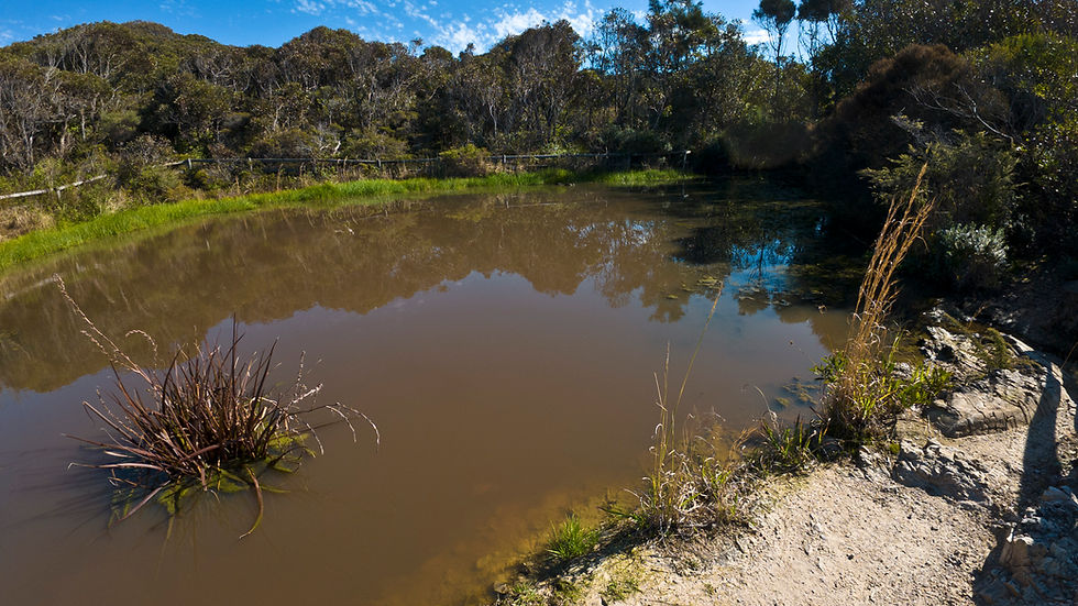 Pinny Beach Dam