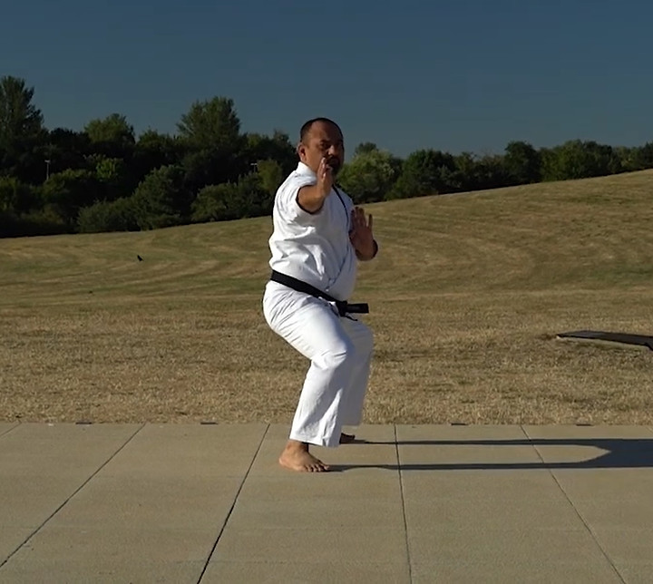 Daljit Sensei