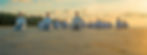 Martial Artists on a Beach