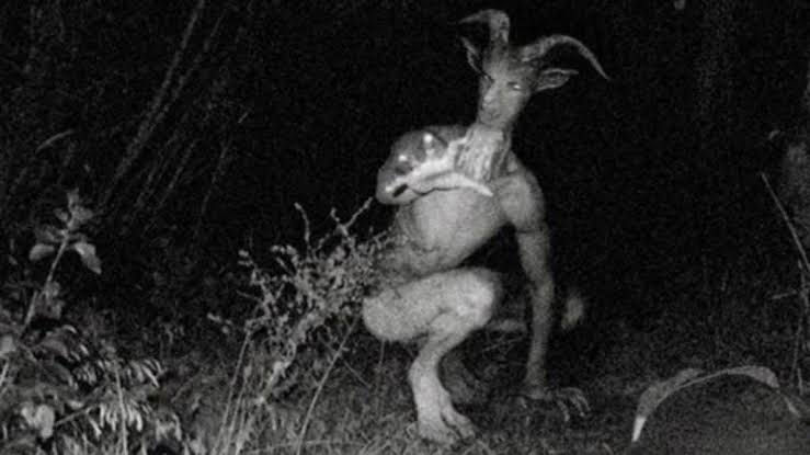 Folklore and creatures- Skinwalker