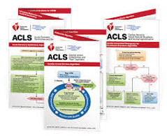 acls.jpeg