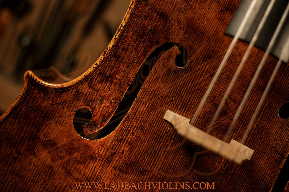 limited-edition-antique-laubach-cello-model-domenico-montagnana.jpg