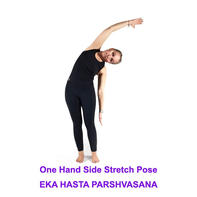 poses 1-100.015.jpeg