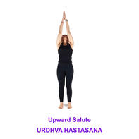 Upward Salute (Urdhva Hastasana)
