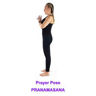 Prayer Pose (Pranamasana)