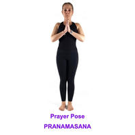 Prayer Pose (Pranamasana)