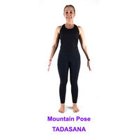 Mountain Pose (Tadasana)