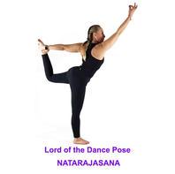 poses 1-100.021.jpeg