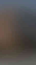 Bird & Bay Décor Shop perfect new kitchen accessories we have items featured in our kitchen design studio lymm