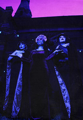 TDV trio.jpeg