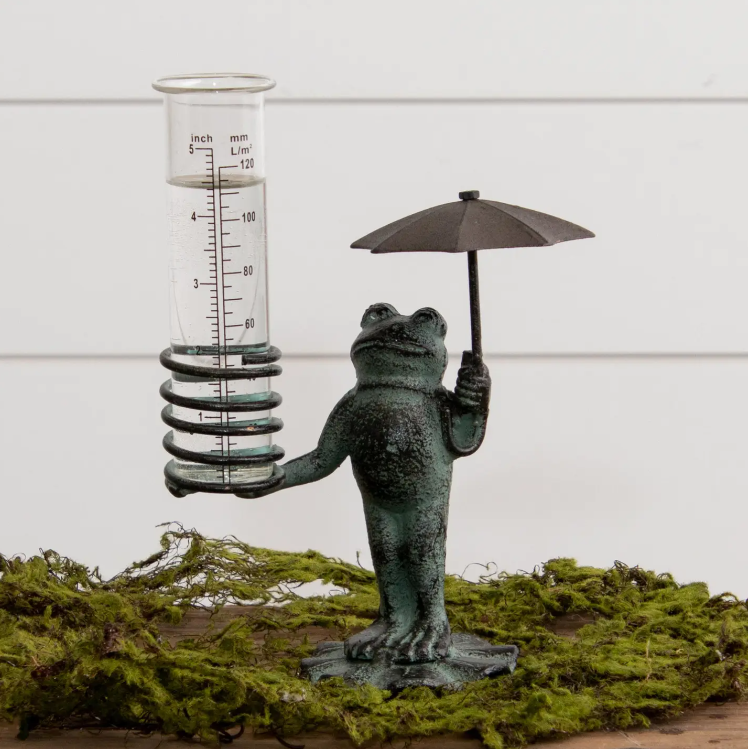 Frog Rain Gauge